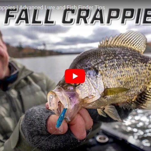 Catch More Fall Crappies | Advanced Lure and Fish Finder Tips - FishAndSave