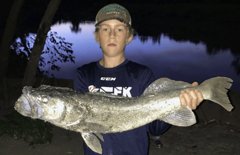 Red River kicks out a trophy Walleye for Grand Forks 12-year-old - FishAndSave