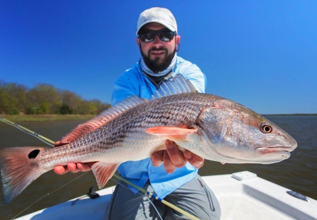 Tips for fishing for Red Drum (Redfish) with Topwater Lures - FishAndSave