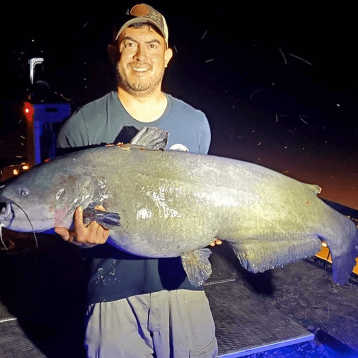 Virginia man catches 66-pound blue catfish, breaks state record - FishAndSave