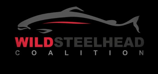 Wild Steelhead Coalition - FishAndSave