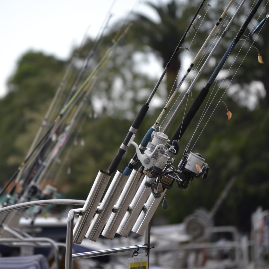 Combos - FishAndSave