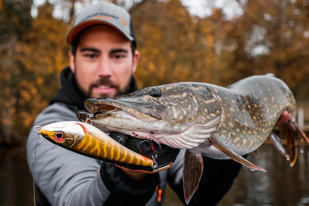 Hardbaits - FishAndSave
