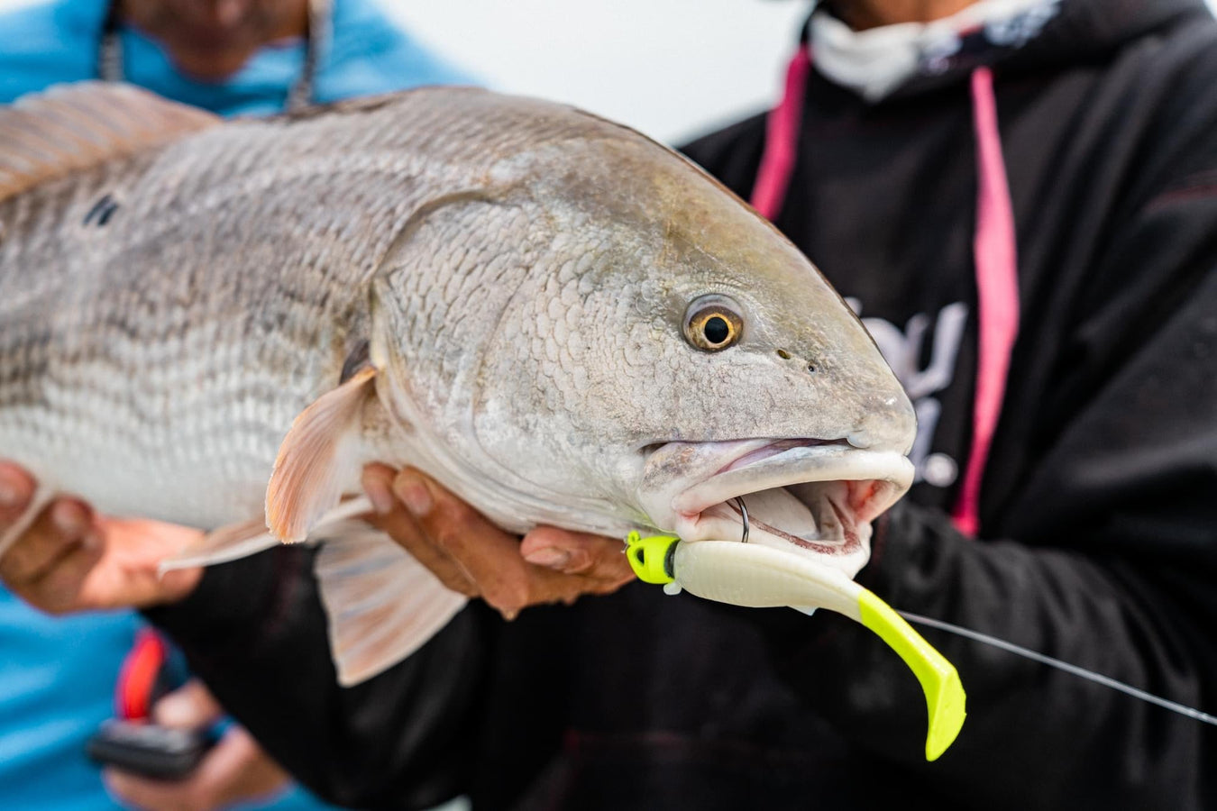 Soft Baits & Plastics - FishAndSave