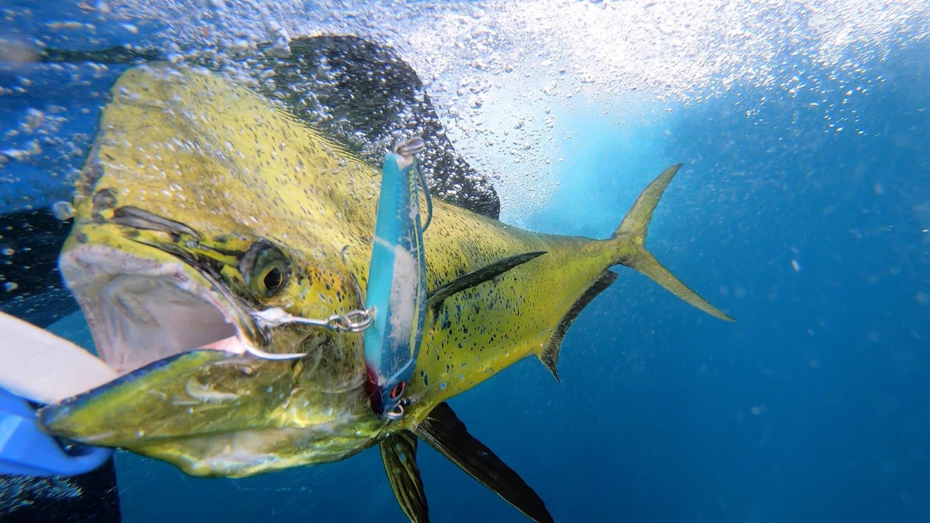 Trolling Lures - FishAndSave