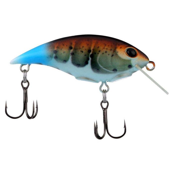 Berkley Shallow Money Badger - CrankbaitBerkleyKiller Craw2.1" 1/4 OzBass028632042267FishAndSave