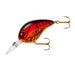 Bomber Lures Fat A 2-1/4" 5/8 Oz - CrankbaitBomberApple Red CrawdadBass032256253138FishAndSave