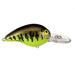 Bomber Lures Fat A 2" 3/8 Oz - CrankbaitBomber LuresChartreuse Baby BassBass032256252971FishAndSave