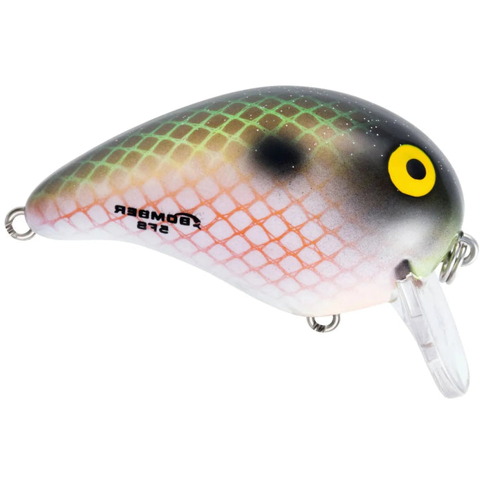 Bomber Lures Shallow A 2" 3/8 Oz - CrankbaitBomber LuresElectric ShadBass032256252797FishAndSave