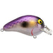 Bomber Lures Square A 04 1-5/8" 1/4 Oz - CrankbaitBomber LuresPurple Pearl AyuBass032256252582FishAndSave