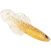 Chasebaits Flacid Shad 3" Gold Shiner Qty 7 - PlasticsChaseBaitsBass810059584716FishAndSave