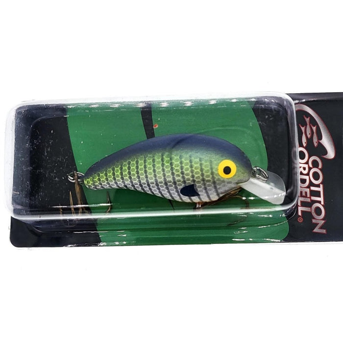 Cotton Cordell Big O Square - Lip Crankbait 2 - 1/4" - CrankbaitCotton CordellBluegillBass020495035301FishAndSave