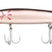 Cotton Cordell Red Fin Deep Diver 7" 1 Oz Chrome Black Back - CrankbaitCotton CordellFreshwater020495000903FishAndSave