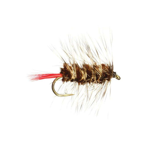 Crystal River Brown Wooly Worm Size 10 Qty 2 - NymphCrystal RiverBass039364883189FishAndSave