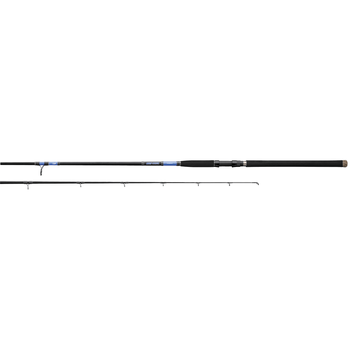 Daiwa BSS902MHS Beefstick SW Spinning Surf Rod 9' 2pc Med Hvy XF - FishAndSave