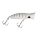 Halco Roosta Popper 80 3.2" 5/8 Oz Qty 1 - CrankbaitHalcoSilver ShadowMemorialtwofive611070804803FishAndSave