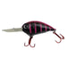 Jenko Fishing Big T Crappie Crank 2" Midnight Pink - CrankbaitJenko FishingFreshwater856448007800FishAndSave