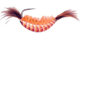 Kenders Natural Shrimp Tungsten Akua Jig 1/64 Oz Qty 1 Natural Brown - JigsKendersFreshwater791109792575FishAndSave