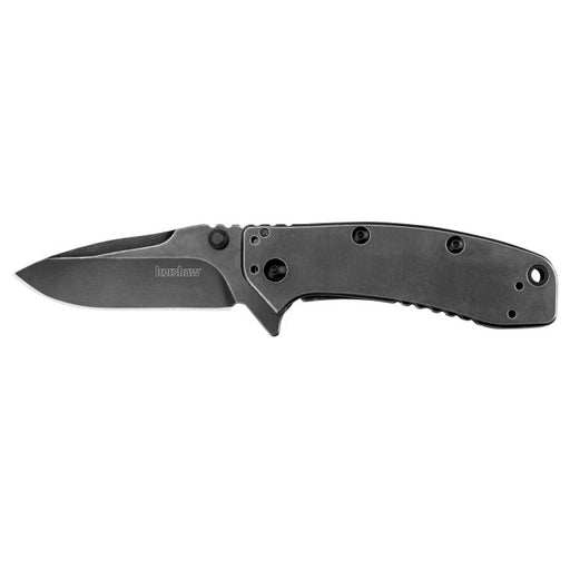 Kershaw 1556TI Cryo II Assisted Opening Folding Knife, 3.25" Blade - FishAndSave