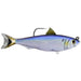 Live Target Swimbait Herring 4 - 1/2" 3/4 Oz Blue/Black - PlasticsLiveTargetFreshwater697713208924FishAndSave
