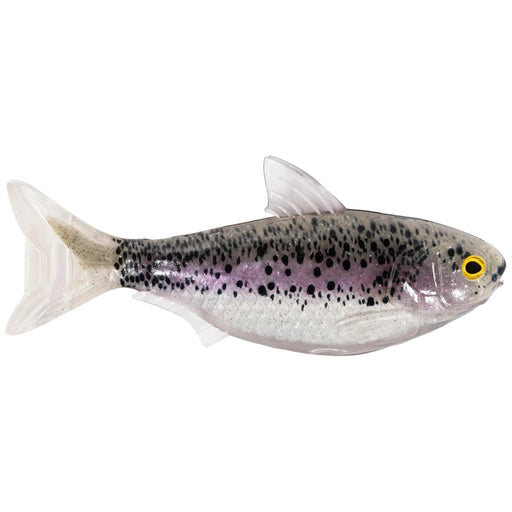 LiveTarget ICT Swim Bait Shad 5.5" Unrigged Qty 2 - PlasticsLive TargetOlive/PinkBass023534534940FishAndSave