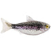 LiveTarget ICT Swim Bait Shad 5.5" Unrigged Qty 2 - PlasticsLive TargetOlive/PinkBass023534534940FishAndSave