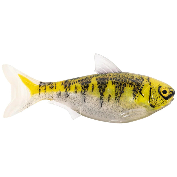 LiveTarget ICT Swim Bait Shad 5.5" Unrigged Qty 2 - PlasticsLive TargetGold/GhostBass023534534957FishAndSave