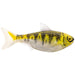 LiveTarget ICT Swim Bait Shad 5.5" Unrigged Qty 2 - PlasticsLive TargetGold/GhostBass023534534957FishAndSave