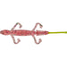 Mister Twister Ringer Lizard 5" Qty 10 - PlasticsMister TwisterCotton Candy/Chartreuse TailBass024376847502FishAndSave