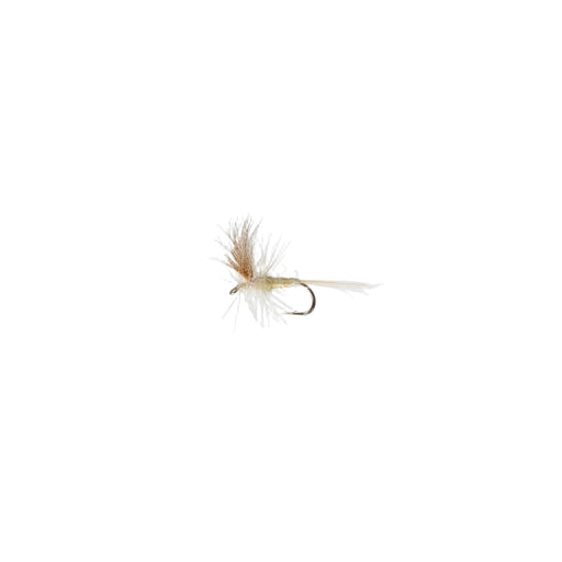 Perfect Hatch Dry Fly #14 Light Cahill Qty 2 - FishAndSave