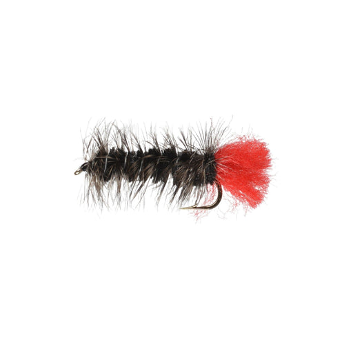 Perfect Hatch Nymph Wooly Worm #10 Black Qty 2 - FishAndSave