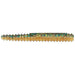 Rapala Crush City Ned BLT 3" Qty 10 - PlasticsRapalaPerchBass22677343976FishAndSave
