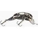 Rebel Teeny Wee Crawfish 1 - 1/2" 1/10 Oz - CrankbaitRebelChrome Black BackBass020554008178FishAndSave