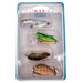 Rebel Topwater Assortment 4 - Pack - CrankbaitRebelPack - 1Bass020554071882FishAndSave