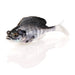 Savage Gear Structure Gill 2.4" 3/8 Oz - PlasticsSavage GearWhite GillFreshwater840004237947FishAndSave