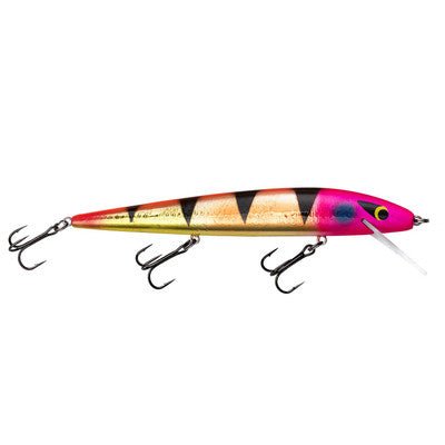 Smithwick Perfect 10 Rogue 5-1/2" 5/8 Oz - CrankbaitSmithwickMotion SicknessFreshwater049575008165FishAndSave