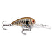 Storm Original Deep Wiggle Wart 05 7/16 Oz 2" - CrankbaitStormMolting CrawBass039984748769FishAndSave