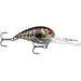 Storm Original Deep Wiggle Wart 05 7/16 Oz 2" - CrankbaitStormPhantom Green Blue CrawBass039984748691FishAndSave