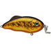 Strike King Hybrid Hunter Shallow Jr 3" 7/16 Oz - CrankbaitStrike KingGold Black BackBass051034270686FishAndSave