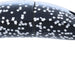 Yakima Bait Pre - Rigged Spinfish 2.5" - TrollingYakima BaitSkunkFreshwater042965594743FishAndSave