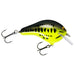 Bagley Balsa B2 #2 2.5" 1/2 Oz - CrankbaitBagley Bait Co.Baby BassAUTOHIDE024861105582FishAndSave
