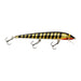 Bagley Bang O Lure #5 5.25" 3/8 Oz - CrankbaitBagley Bait Co.BLACK STRIPES ON GOLD FOILFreshwater024861099997FishAndSave