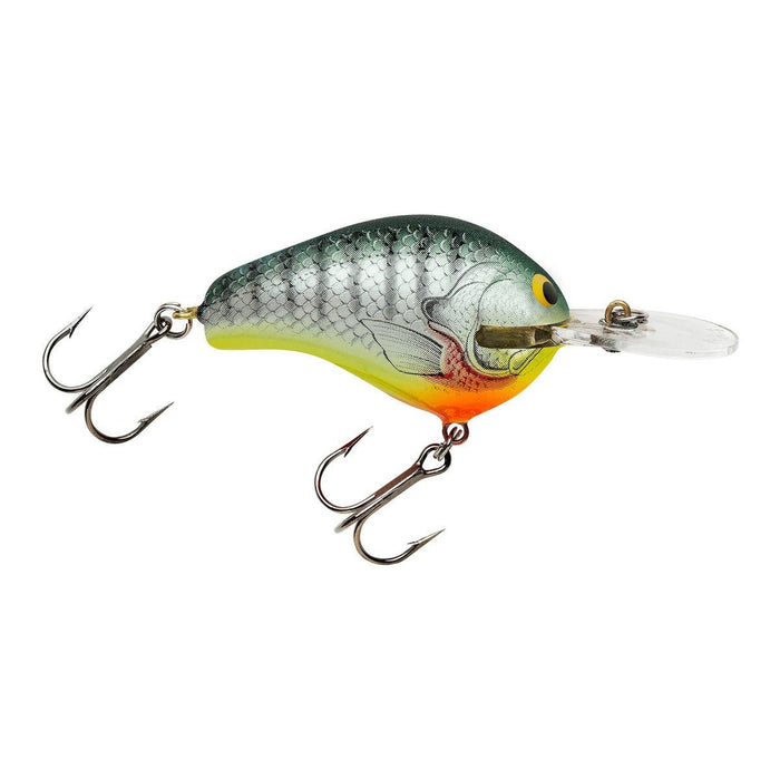 bagley balsa b lure in rainbow trout Bagley Diving Balsa B1 Crankbait