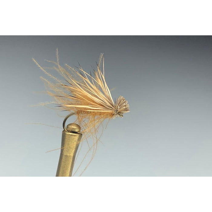 Freestone Fly Cdc Elk Hair Caddis Amber Size 12 Qty 12 - FishAndSave