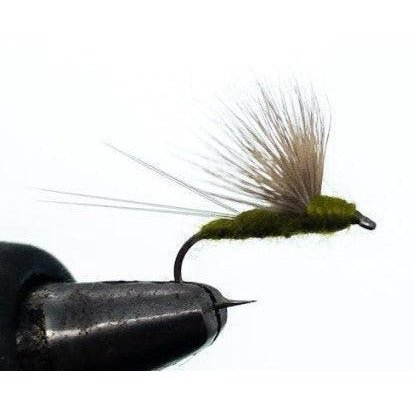 Freestone Fly Compara Dun Olive Size 14 Qty 12 - FishAndSave