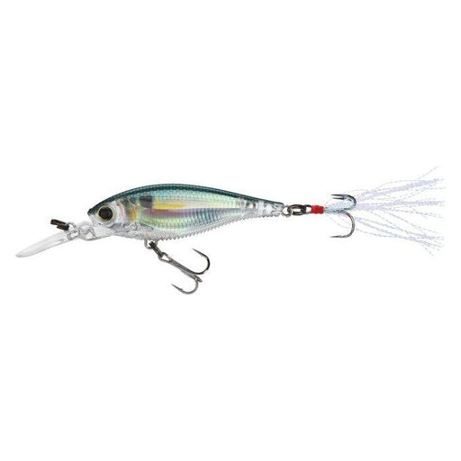 Yo - Zuri 3DB Shad 2 - 3/4" 3/8 Oz - CrankbaitYo - ZuriReal Gizzard ShadBass756791542792FishAndSave